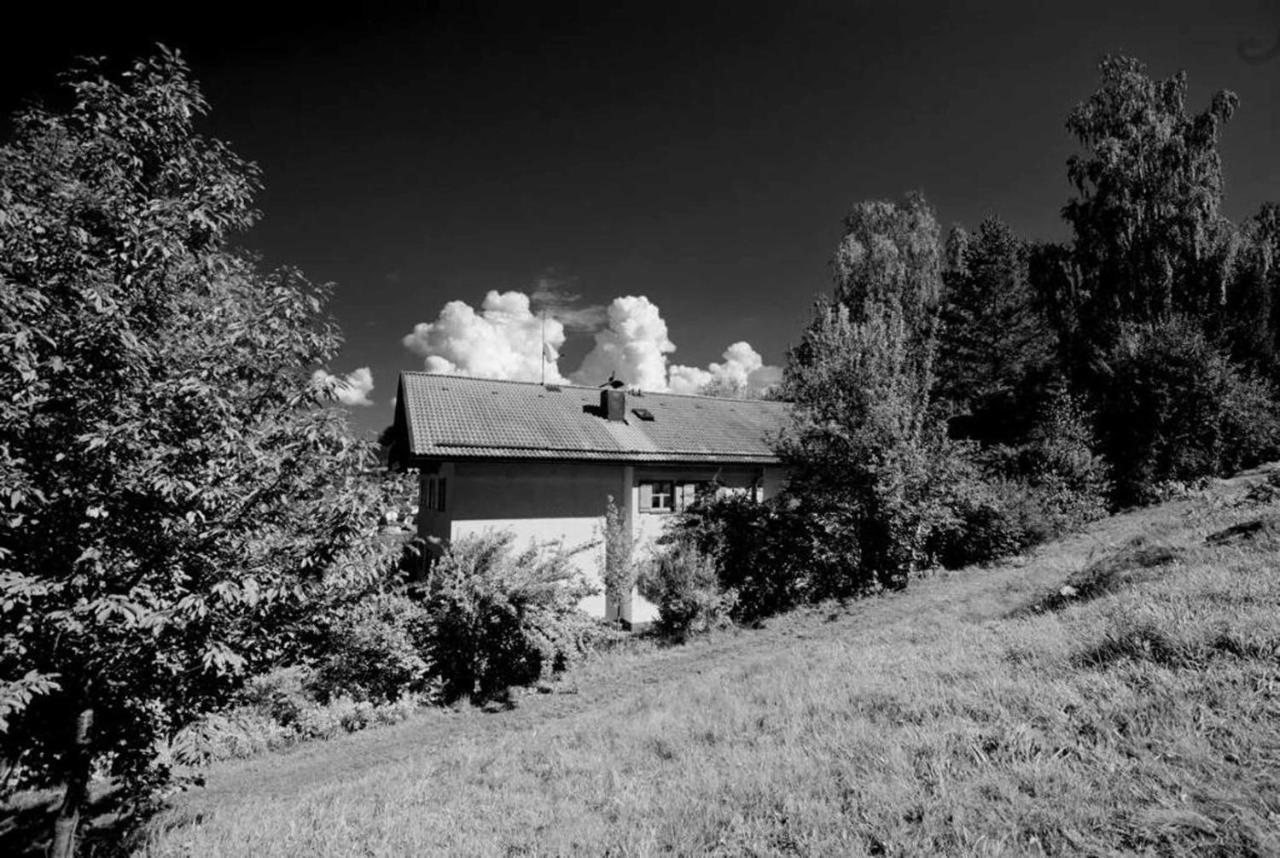 Ferienwohnungen Haus "Wildschuetz" Фрауенау Екстериор снимка